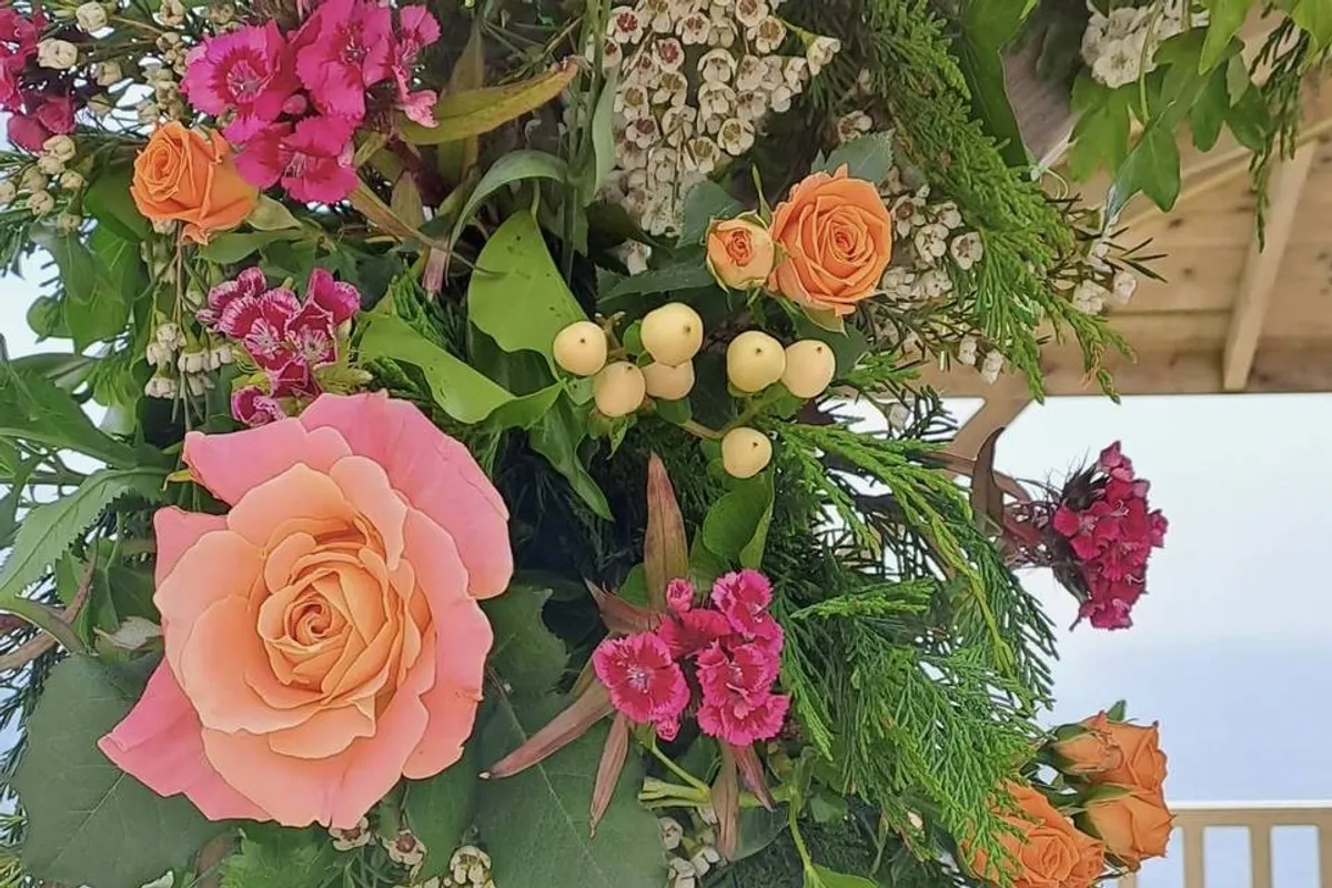 Ipplepetals photo 5