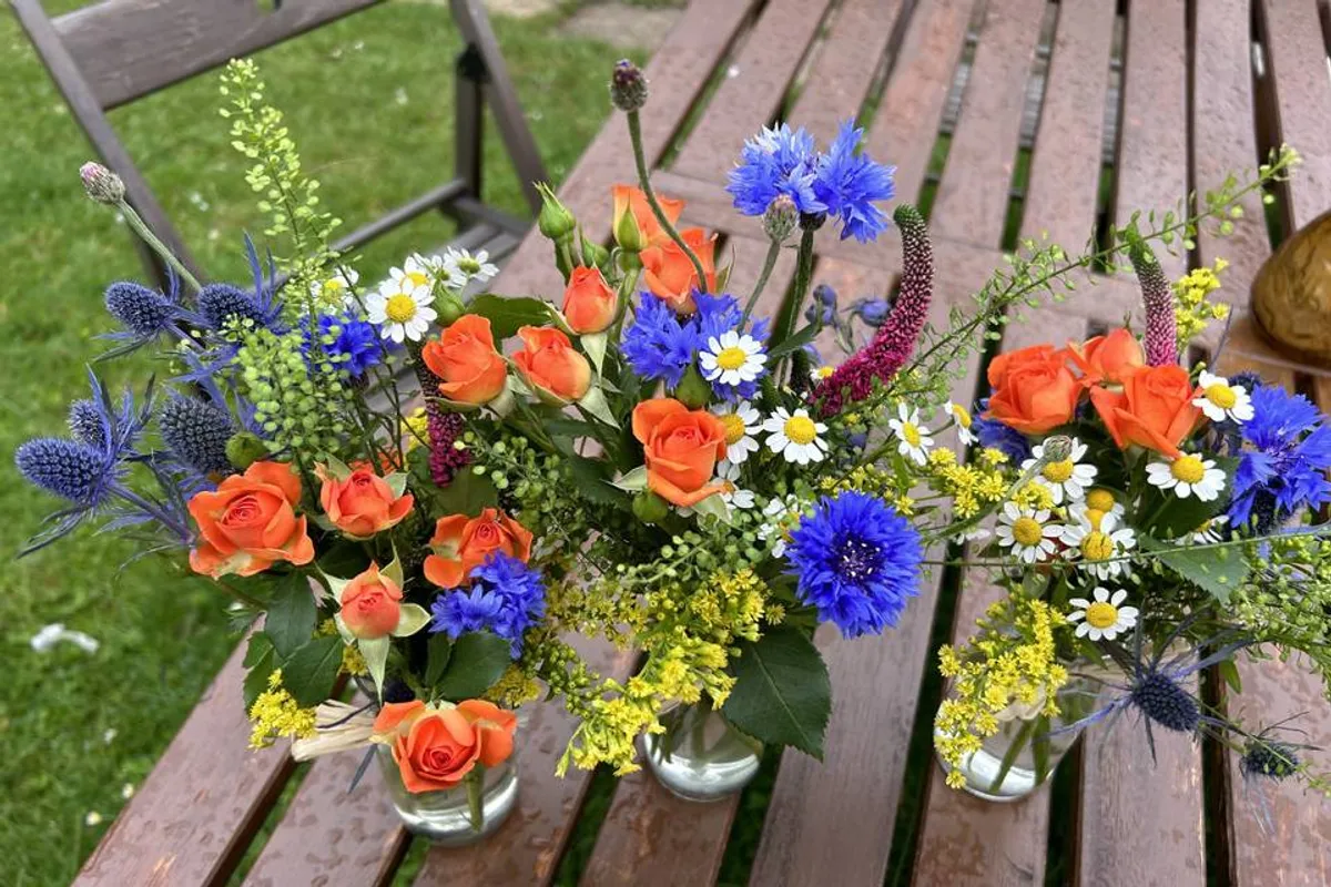 Ipplepetals photo 3