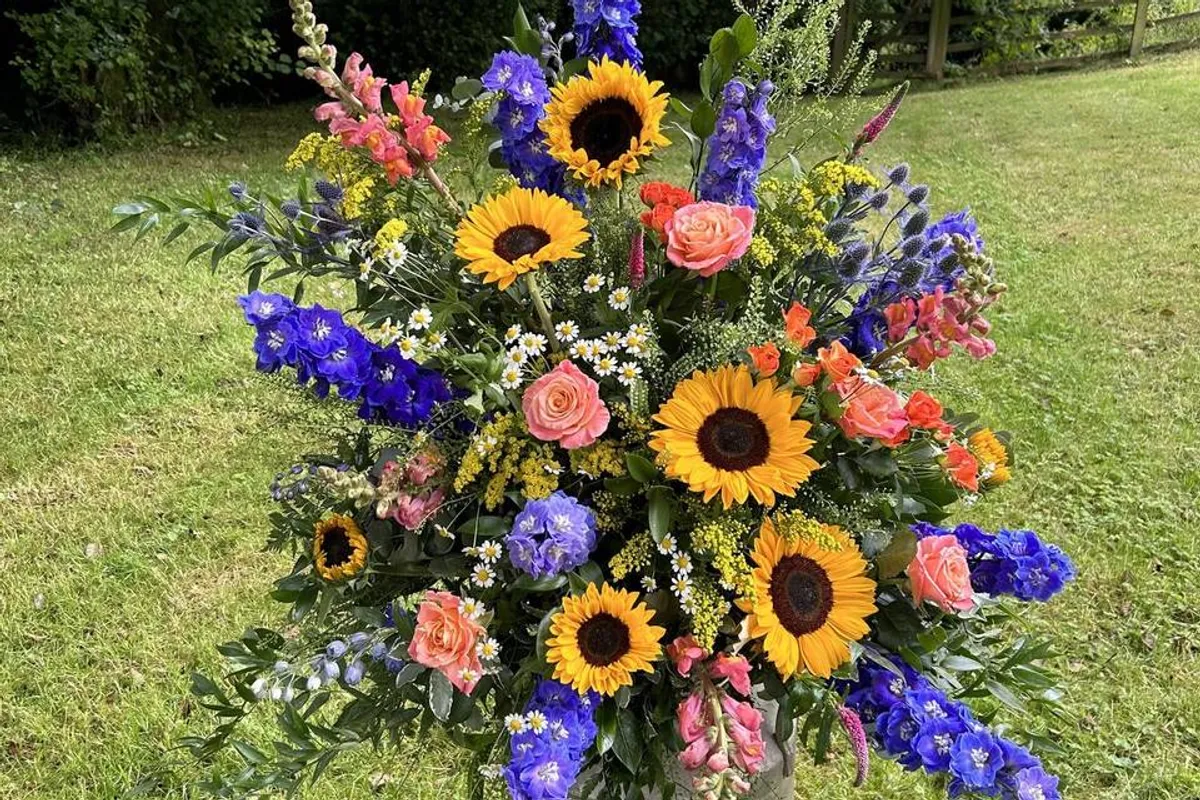 Ipplepetals photo 8