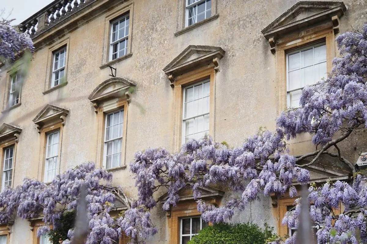 The Freshford Florist photo 3