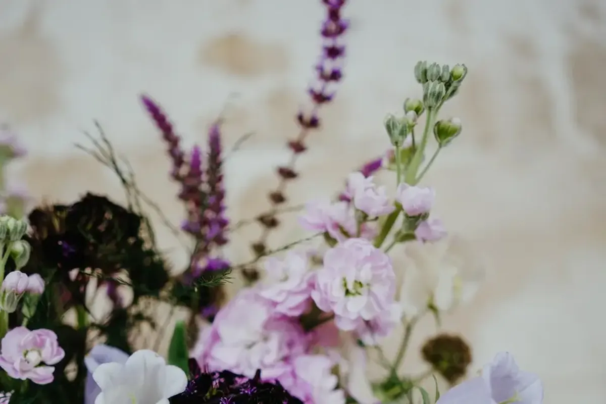 The Freshford Florist — florists in Somerset, UK