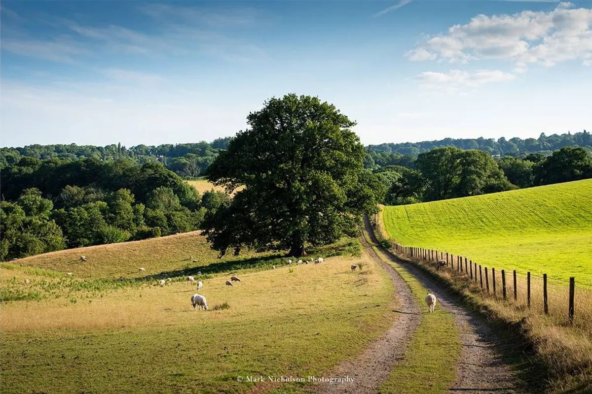 Crumplebury photo 6