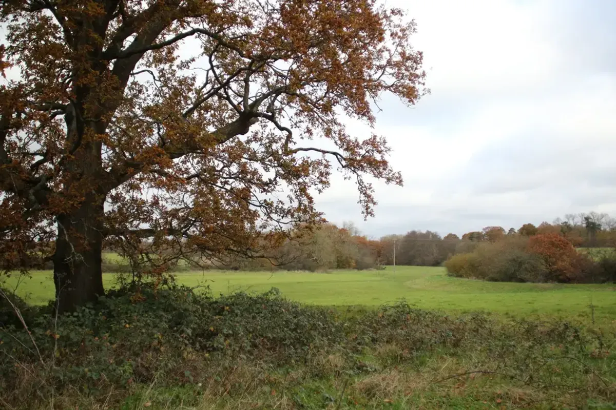 Shermanbury Place photo 9