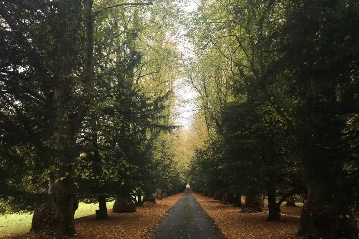 Murthly Estate photo 4