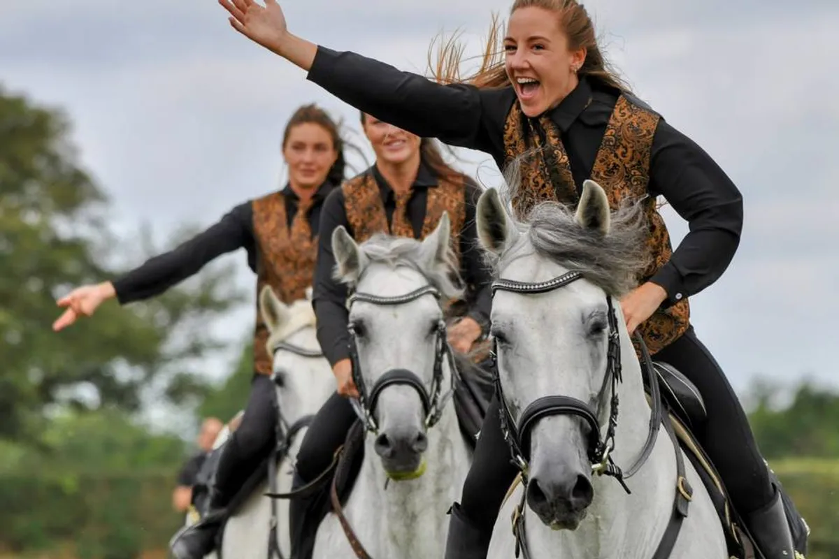 Silver Leys Polo Club photo 3