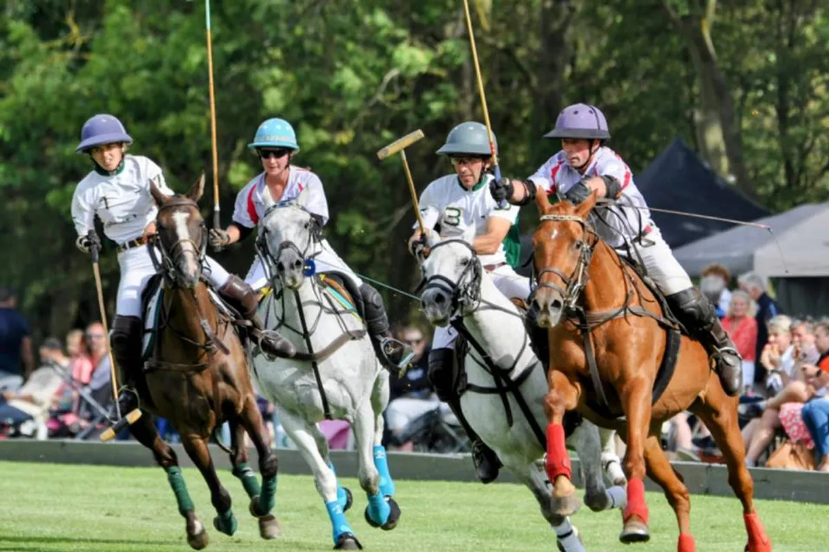 Silver Leys Polo Club photo 5