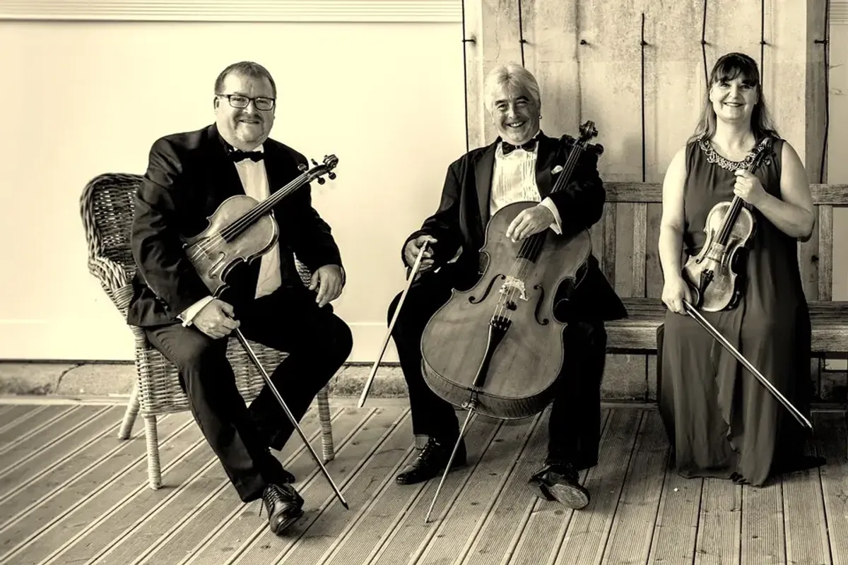 The Wigornia String Quartet photo 2