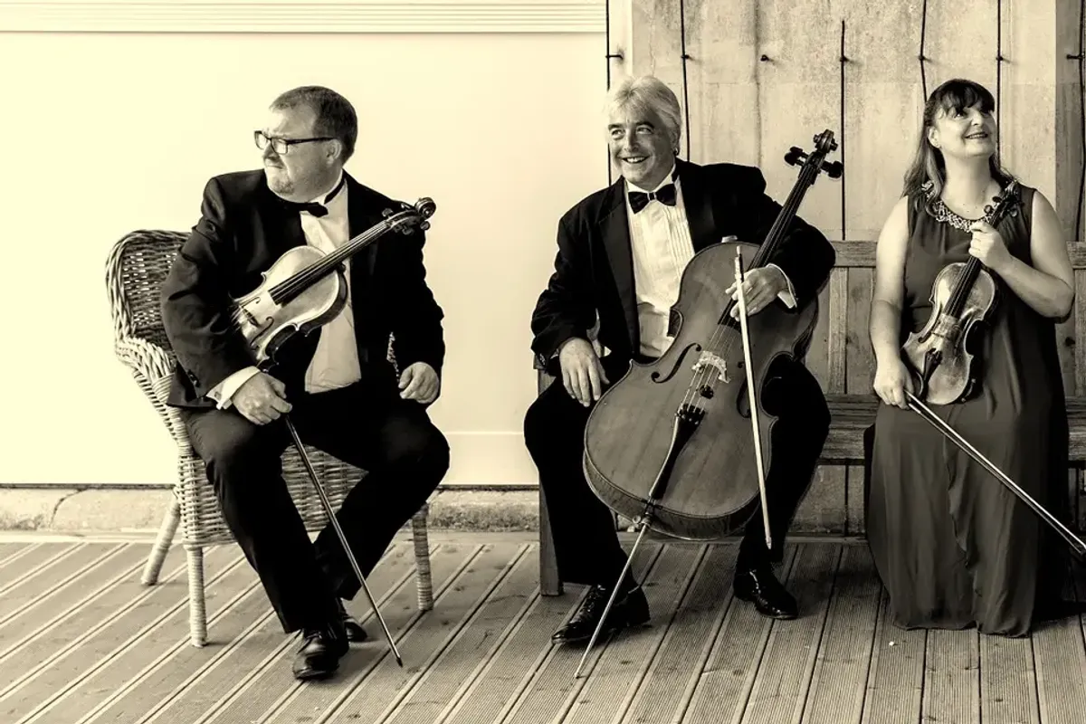 The Wigornia String Quartet photo 1