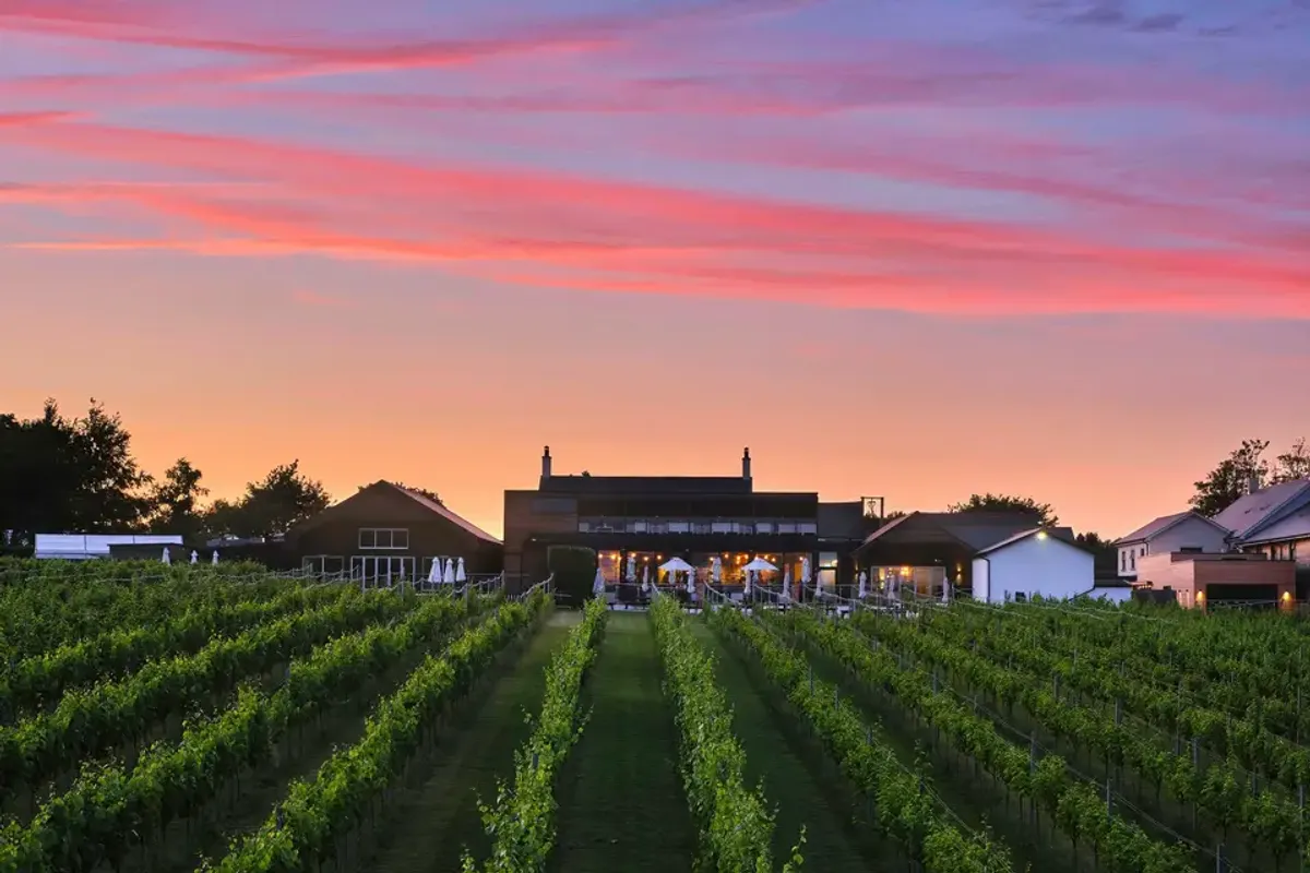 Llanerch Vineyard Hotel photo 4