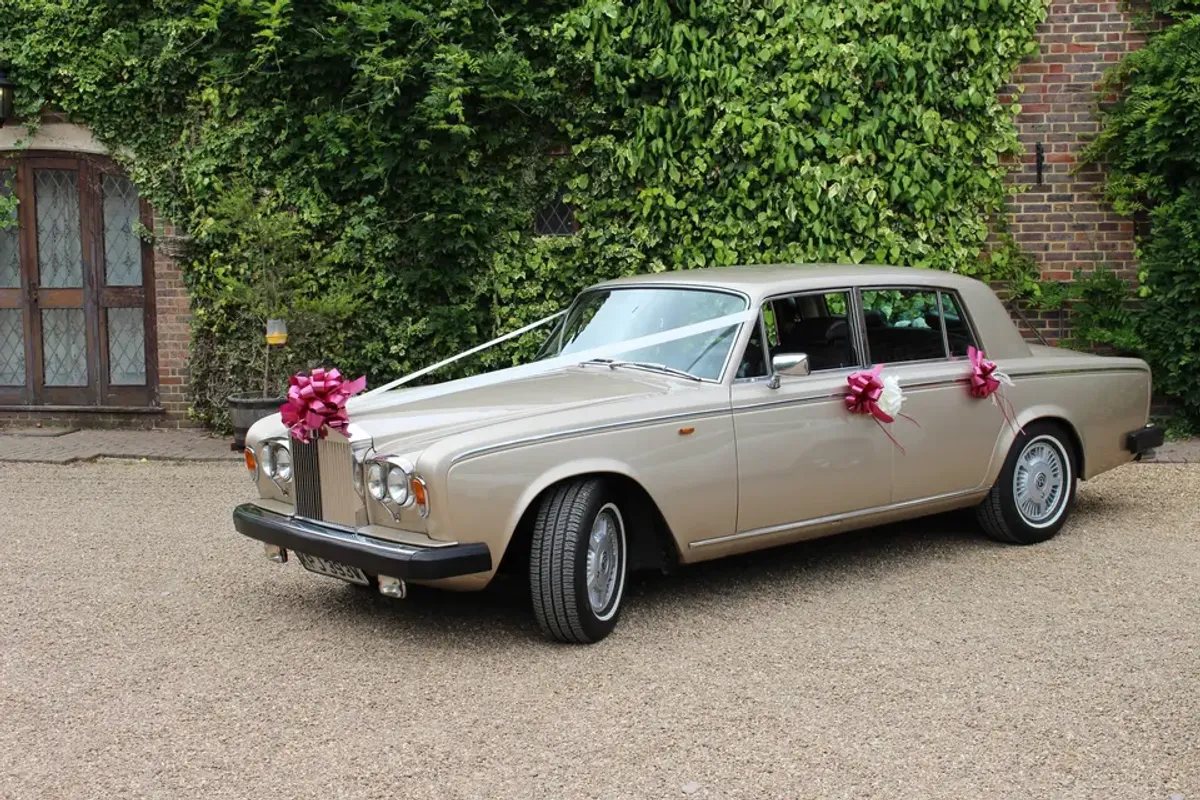 Specialdaze — transport in West Sussex, UK