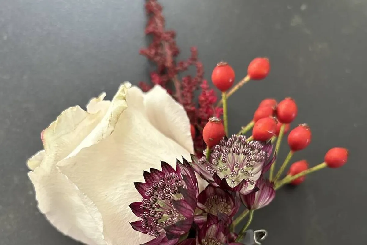 Pocket Rose Flowers photo 2