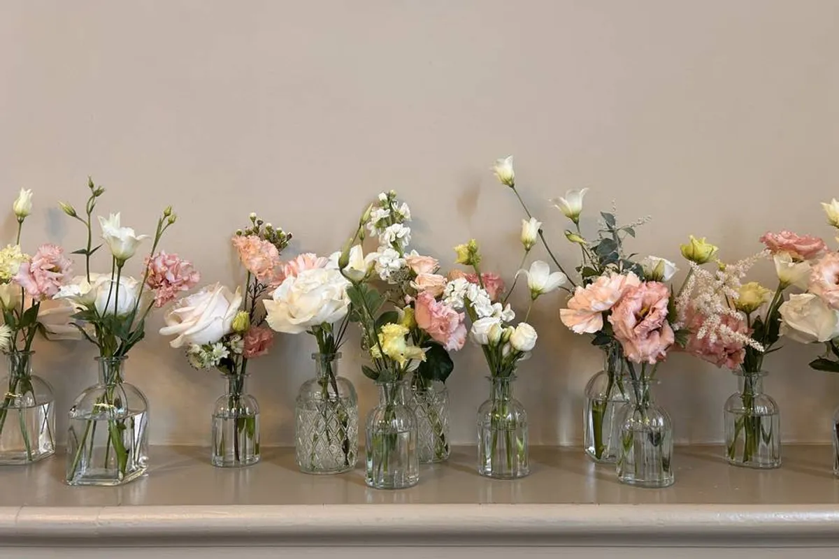 Pocket Rose Flowers photo 1