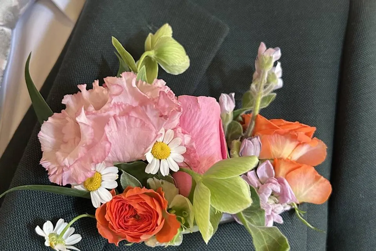 Pocket Rose Flowers photo 6