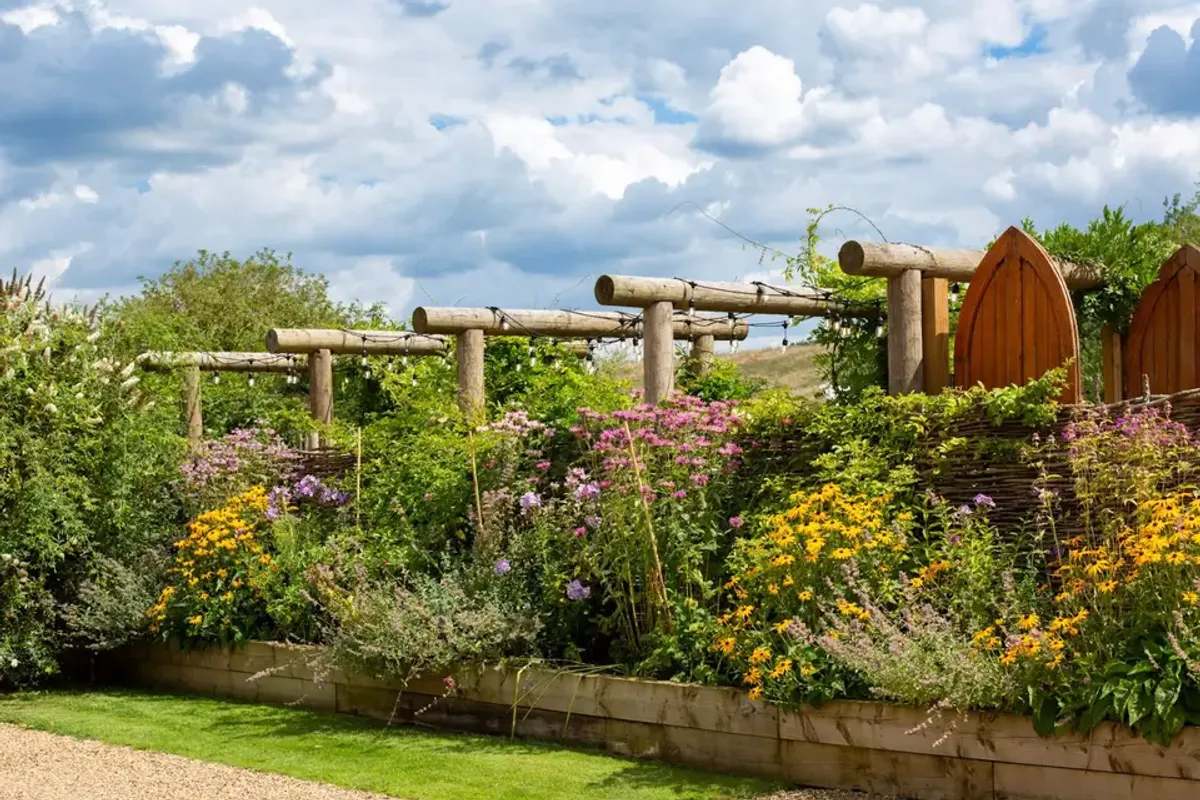 The Orchard photo 4