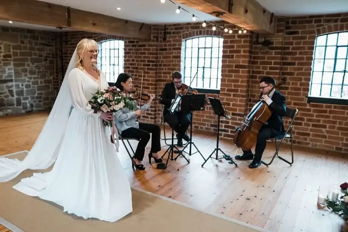 Alerion Strings photo 1