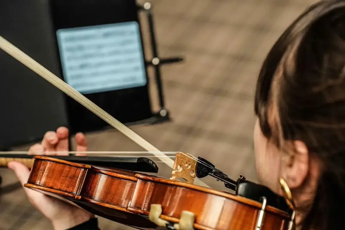 Alerion Strings photo 5