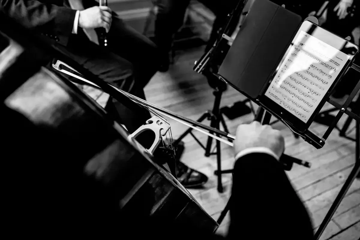 Alerion Strings photo 3