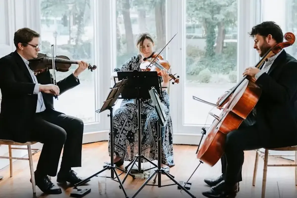 Alerion Strings — djs in Greater Manchester, UK