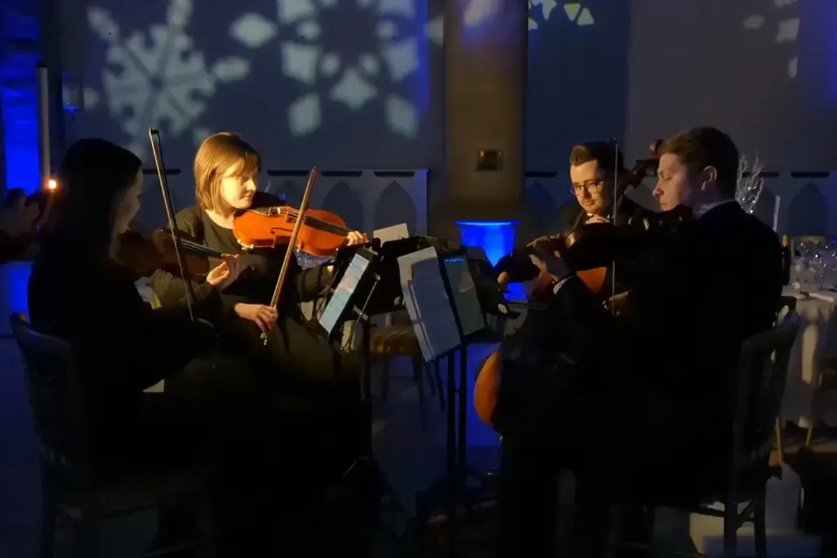 Alerion Strings photo 7