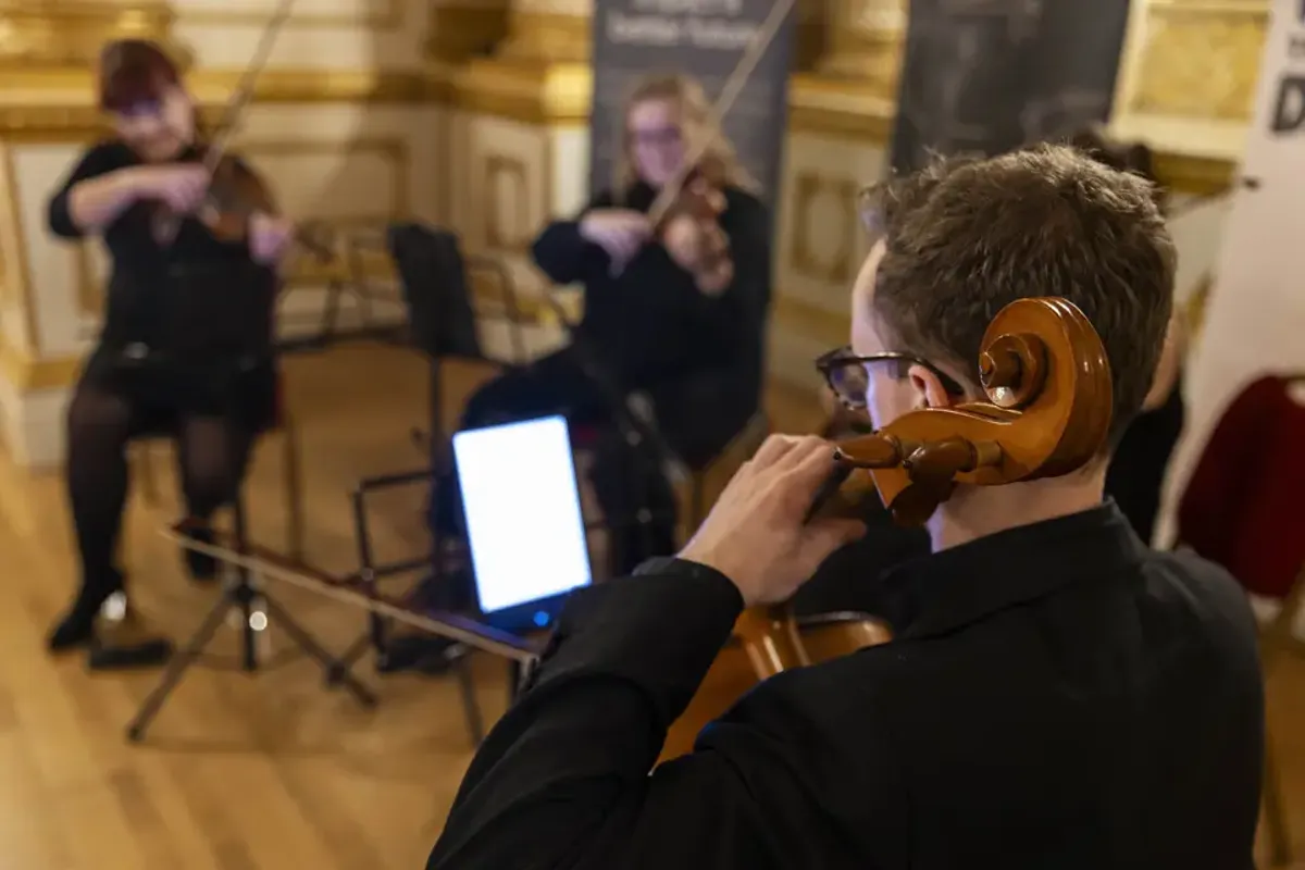 Alerion Strings photo 2