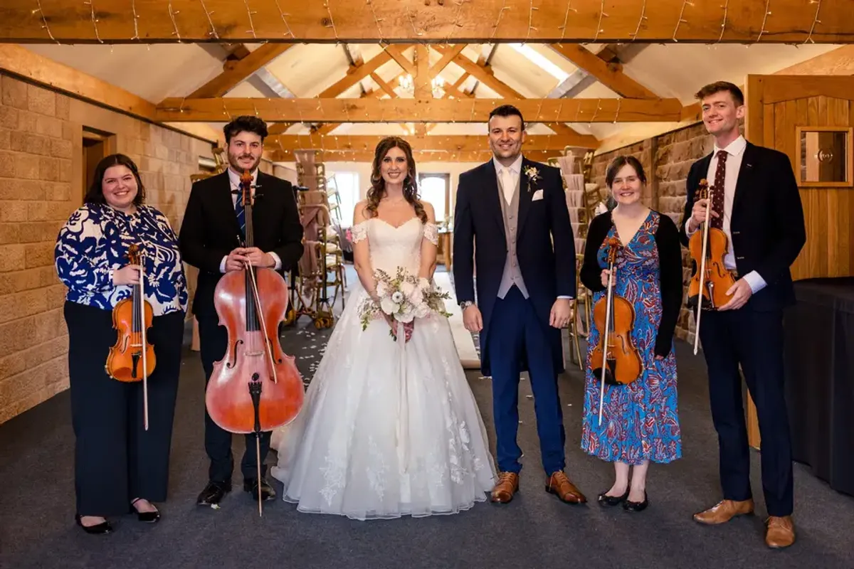 Alerion Strings photo 9