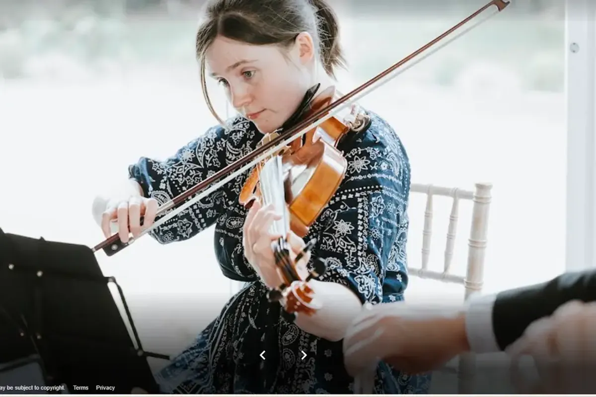 Alerion Strings photo 8
