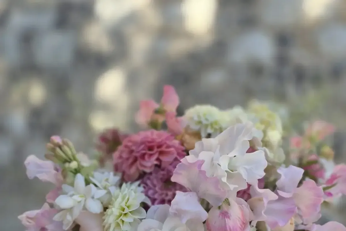 Coombe Bissett Blooms photo 1