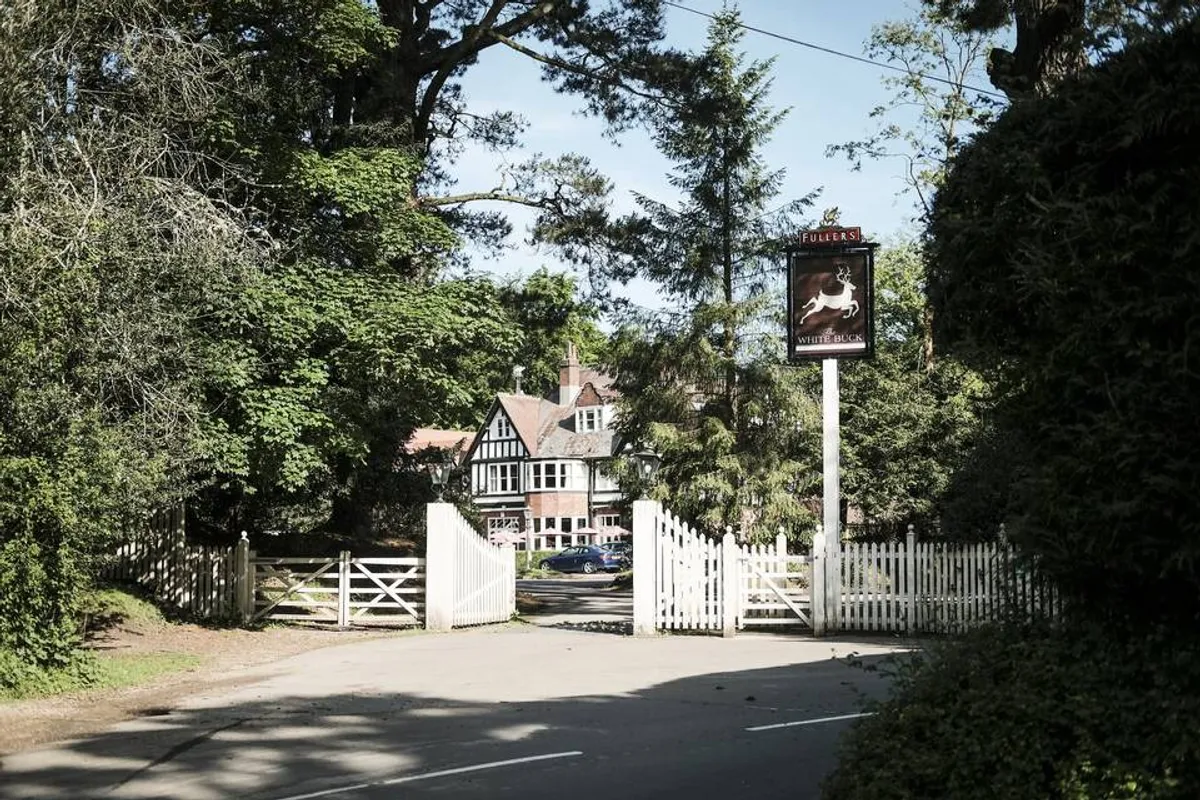 The White Buck Inn photo 4