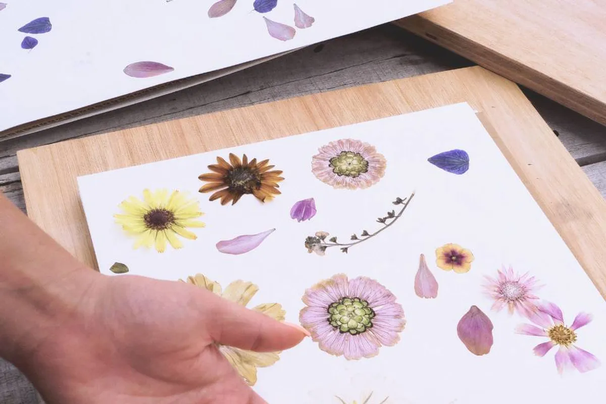 Jordan Luck | Pressed Flower Artist photo 4