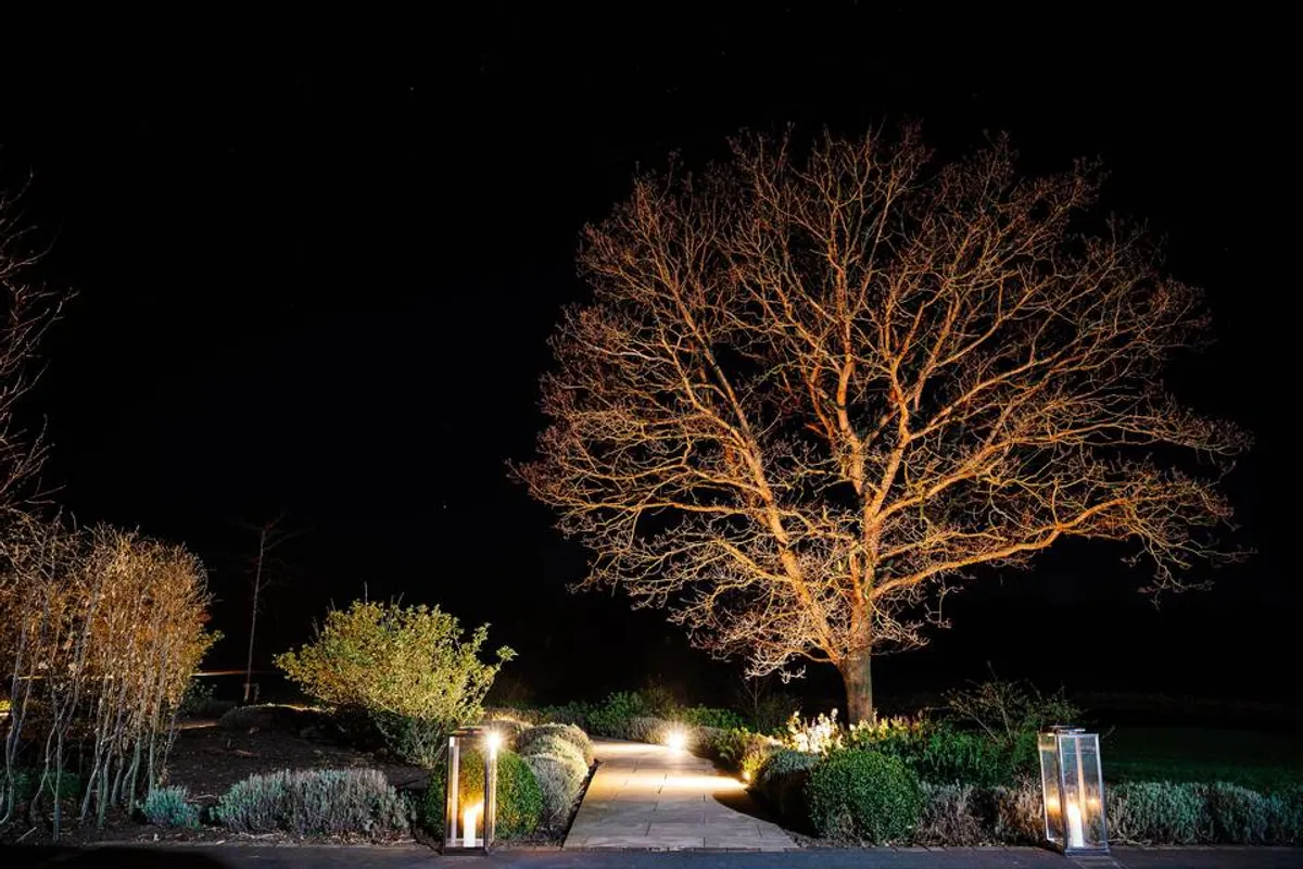 The Hidden Oak photo 2