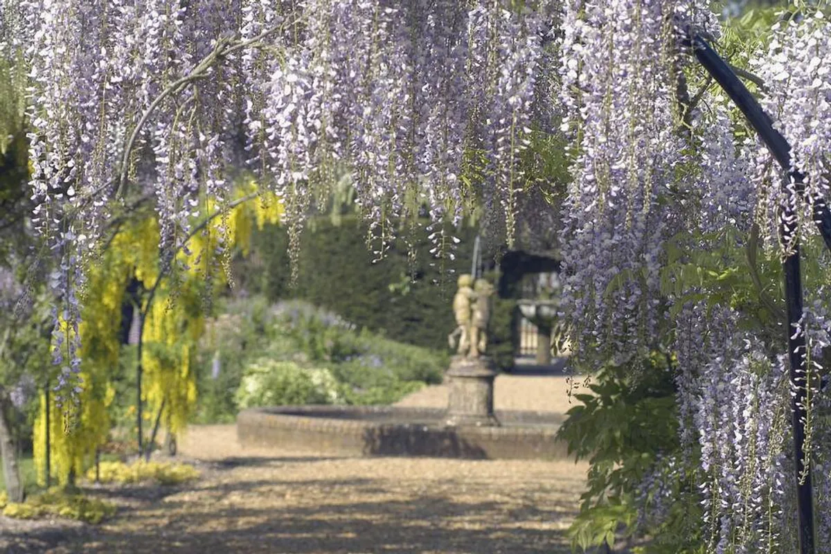 Beaulieu Weddings and Events photo 1