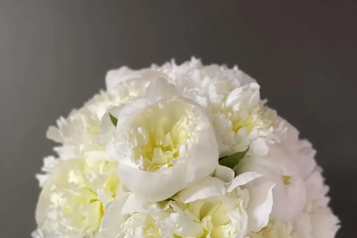 Tiffany et Fleurs Ltd photo 6