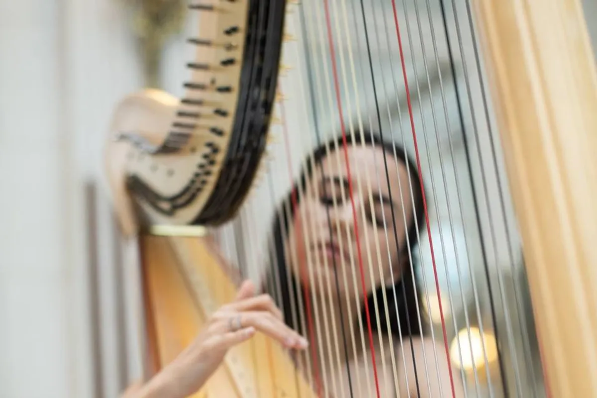 Stefania Lo Castro - Harpist photo 3