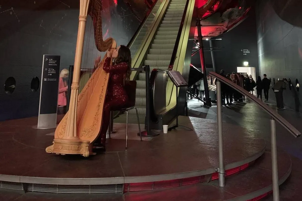 Stefania Lo Castro - Harpist photo 7