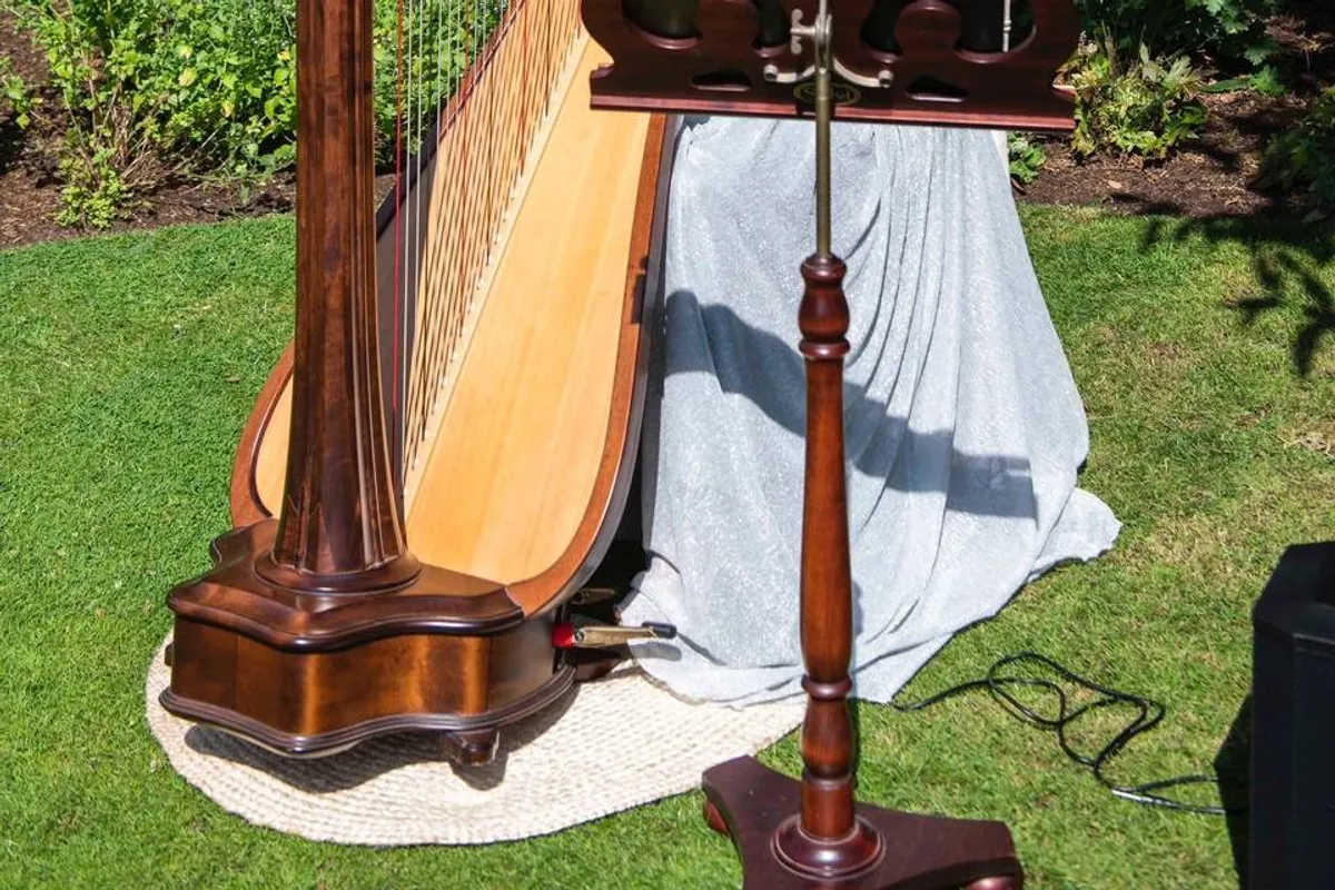 Stefania Lo Castro - Harpist photo 9