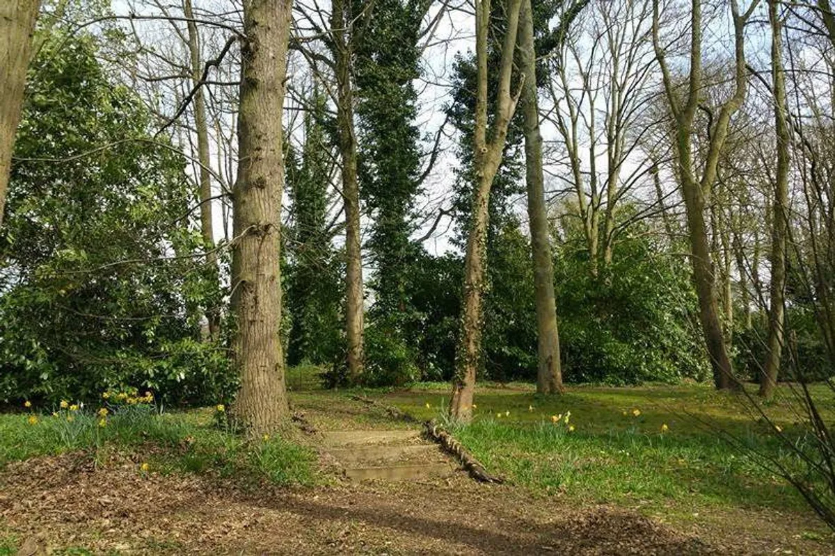 Roundwood photo 11