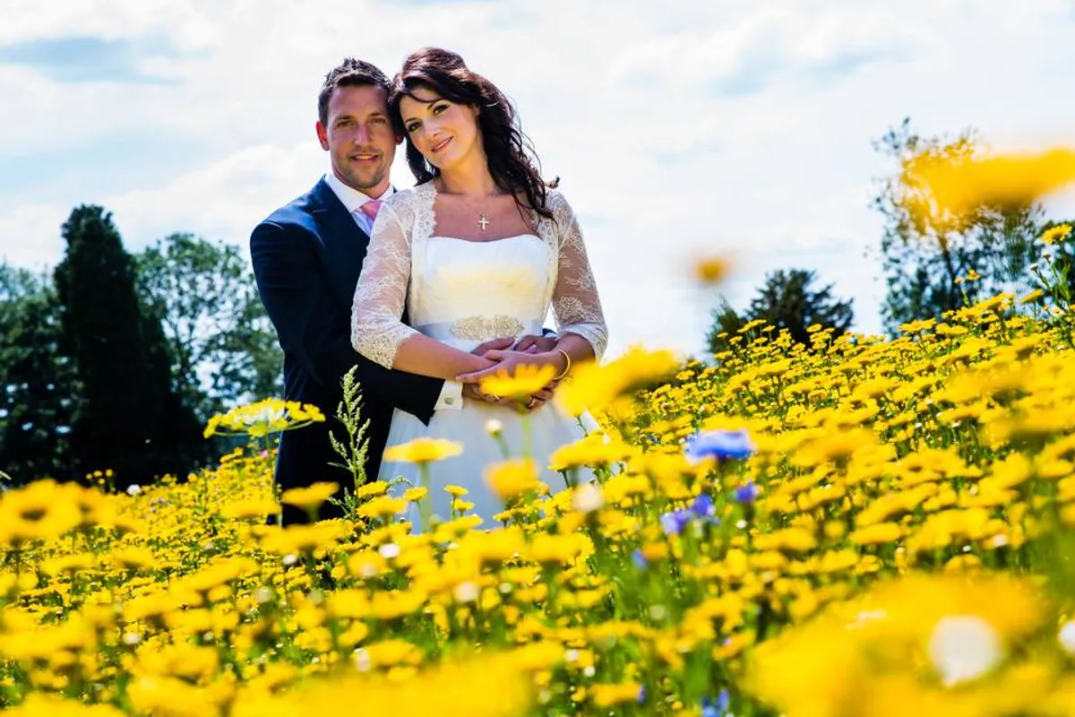 The Perfect Marriage photo 7