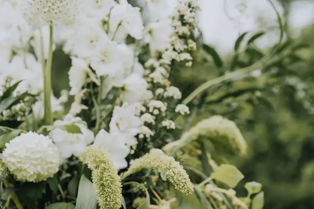 Chantelle Floral Design photo 8