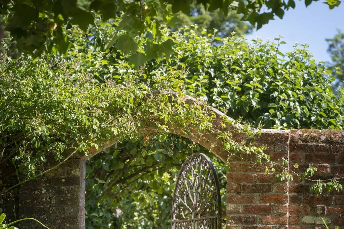 Wintershill Hall photo 4