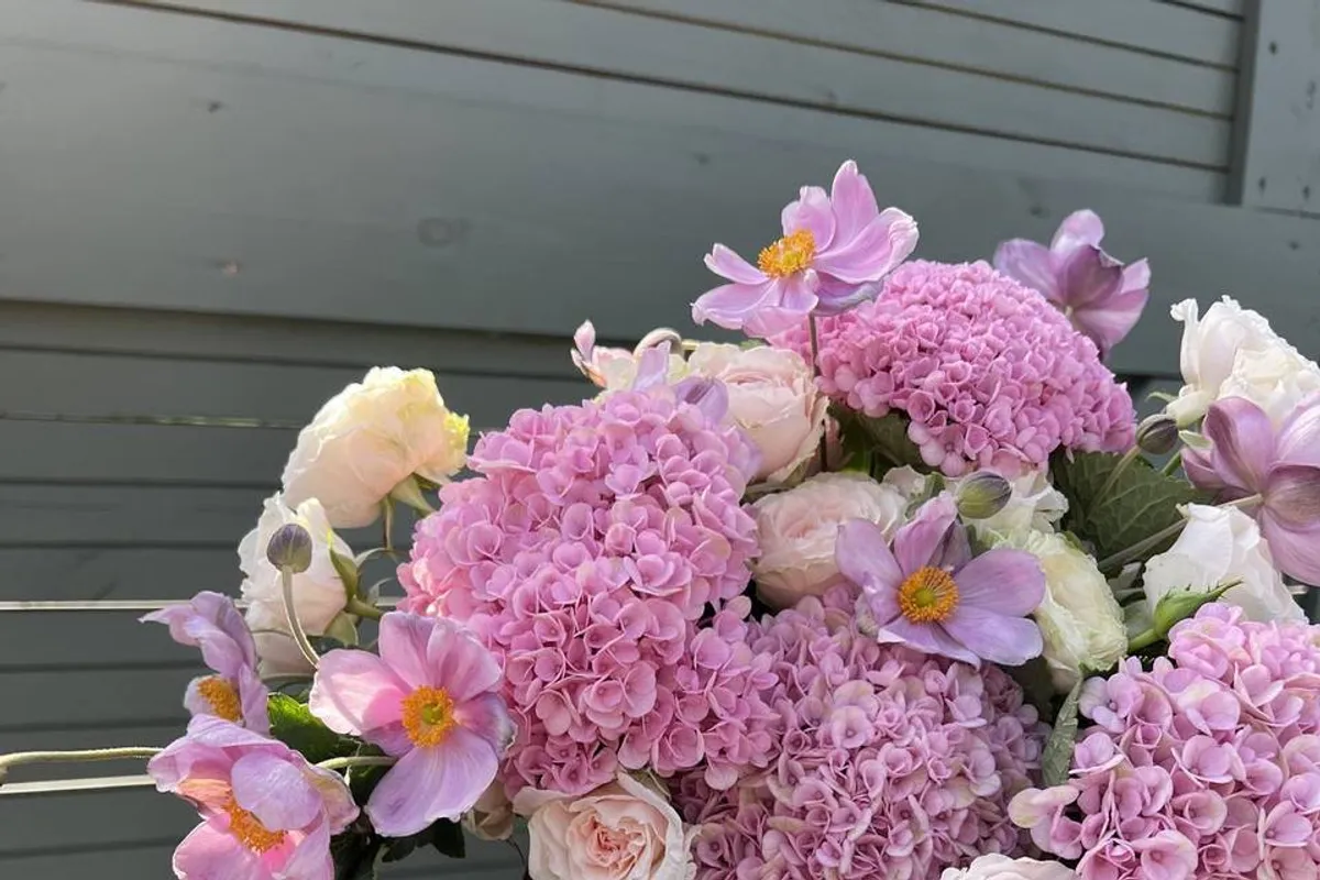bloomsbycag photo 1
