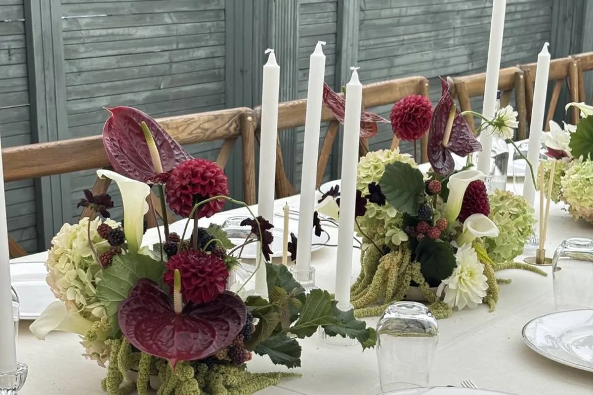 bloomsbycag photo 8
