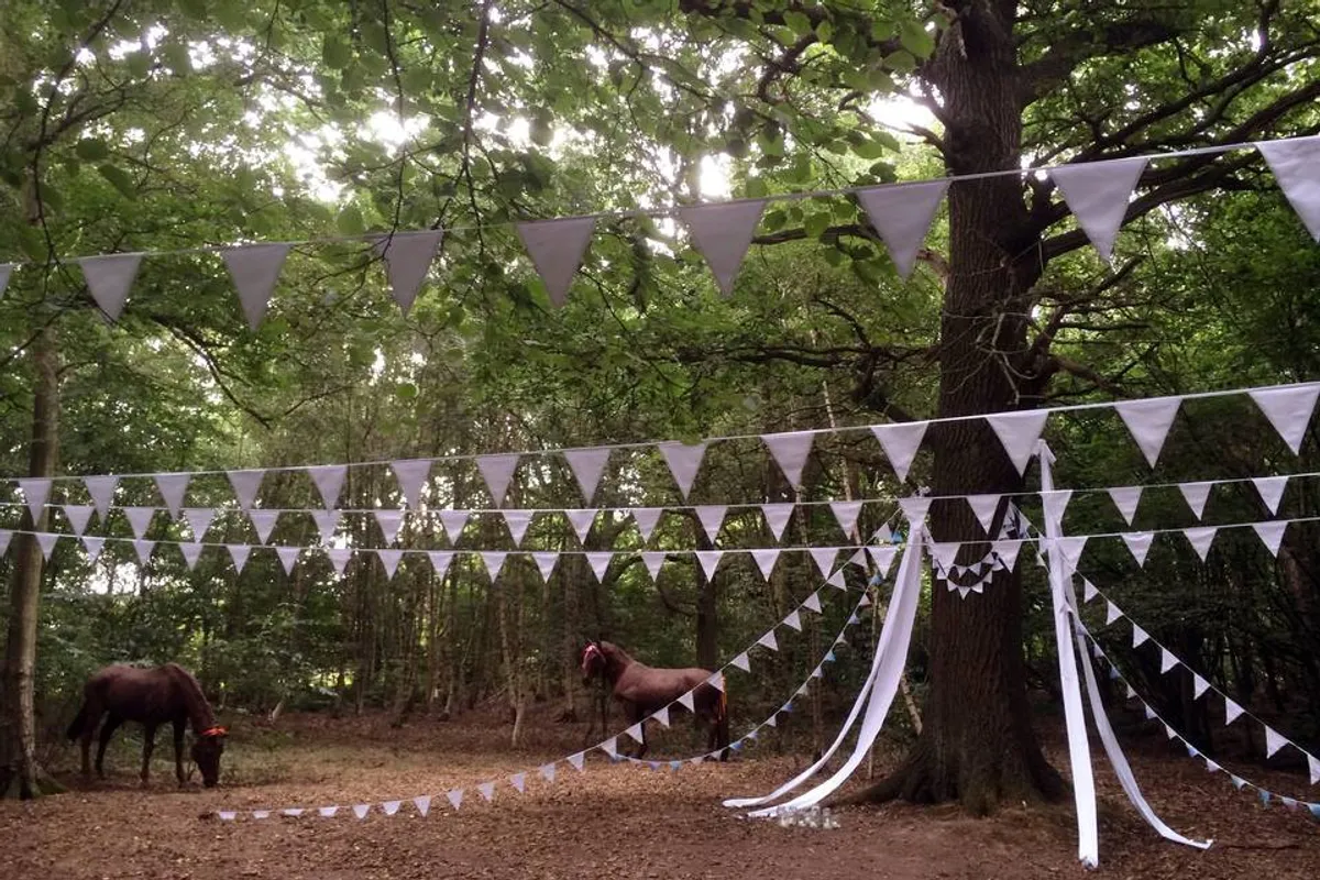 Wise Wedding Venue photo 12