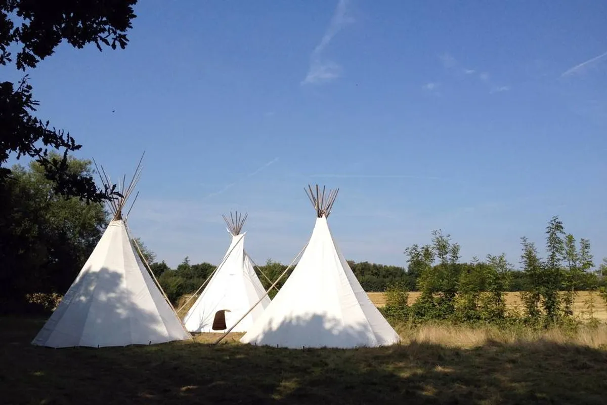Wise Wedding Venue photo 6
