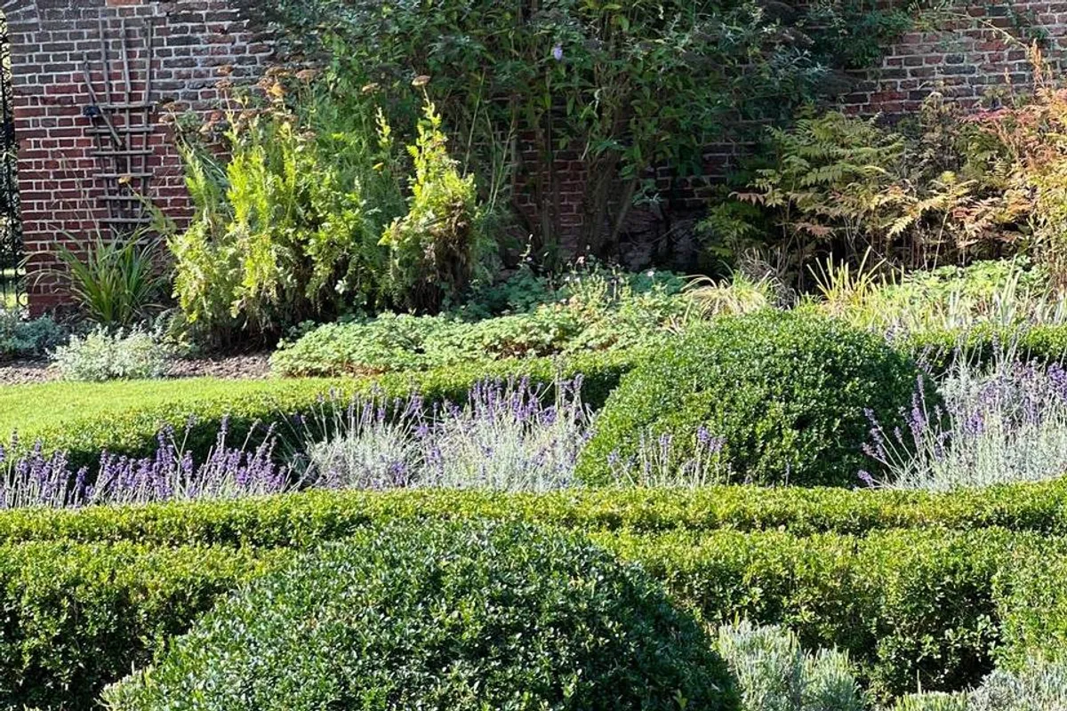 Hall Place & Gardens photo 9