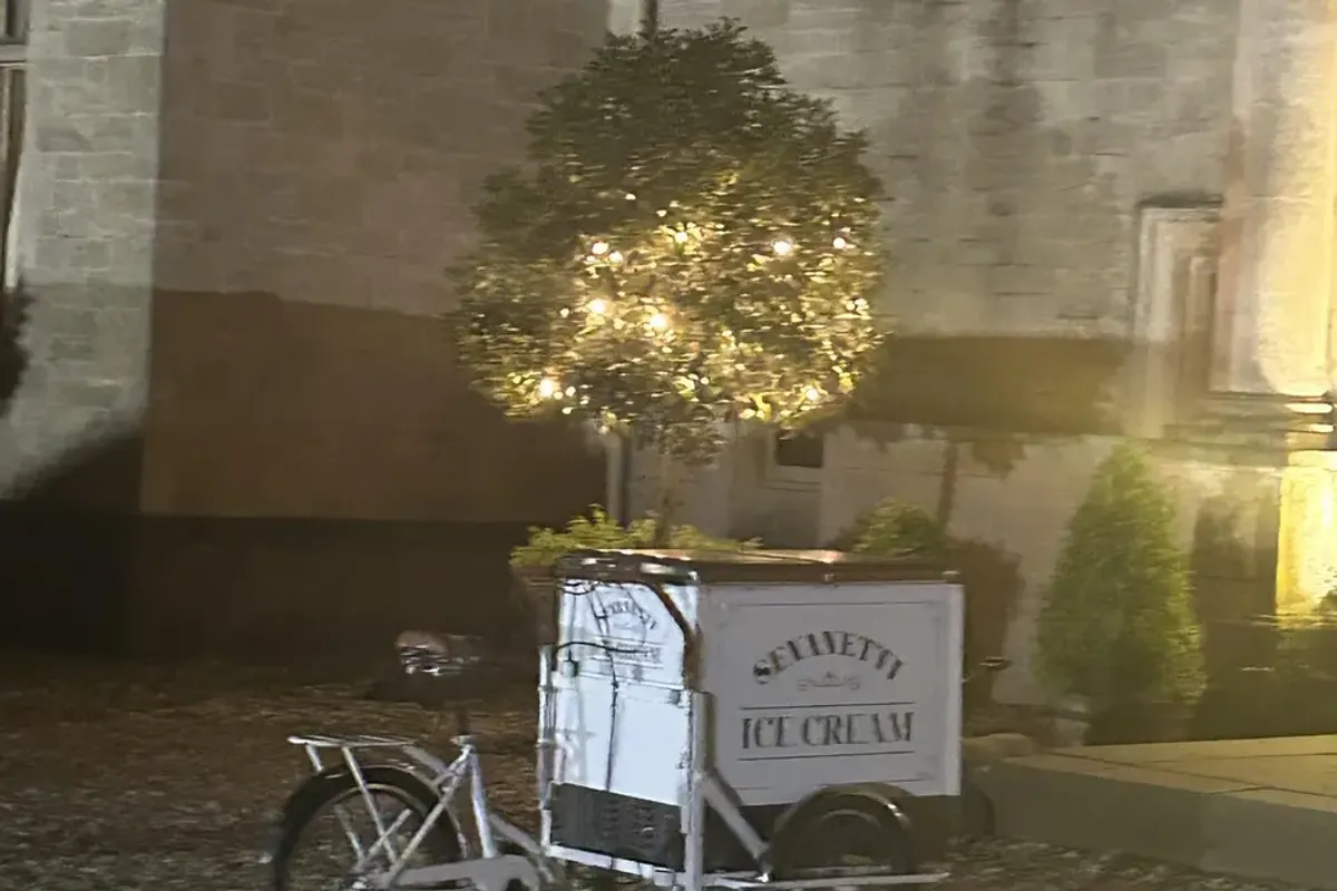 Sevanetti ice cream services photo 2