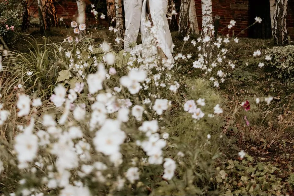 Pippley Walled Garden photo 8