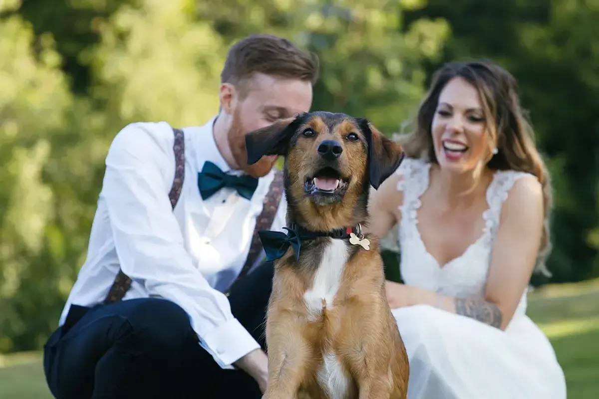 Songbird Wedding Videos — videographers in Hertfordshire, UK