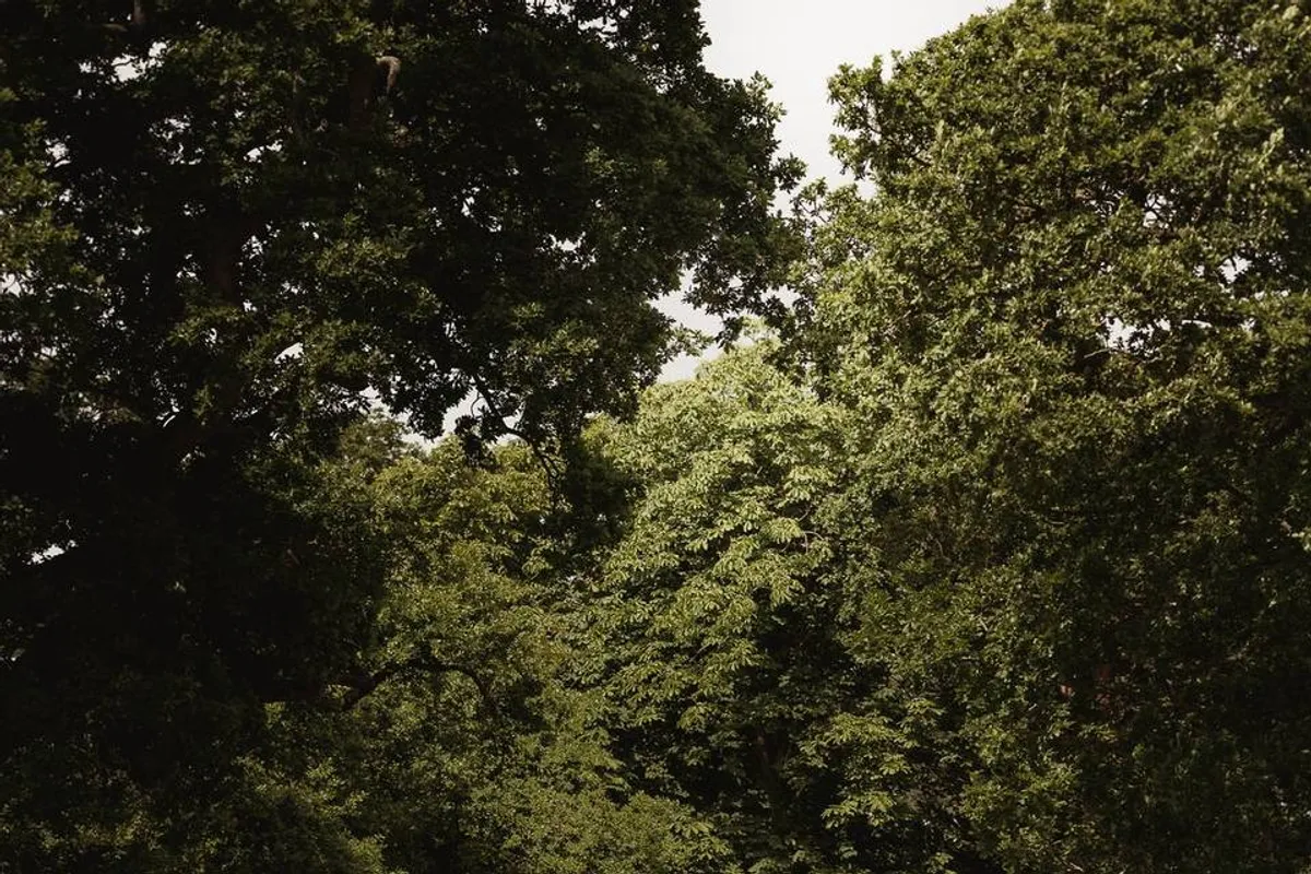 Rookery Hall Hotel & Spa photo 8