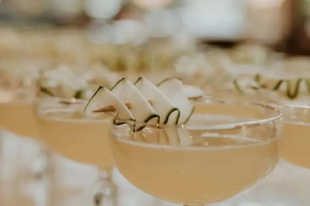 Lion and Swan photo 8