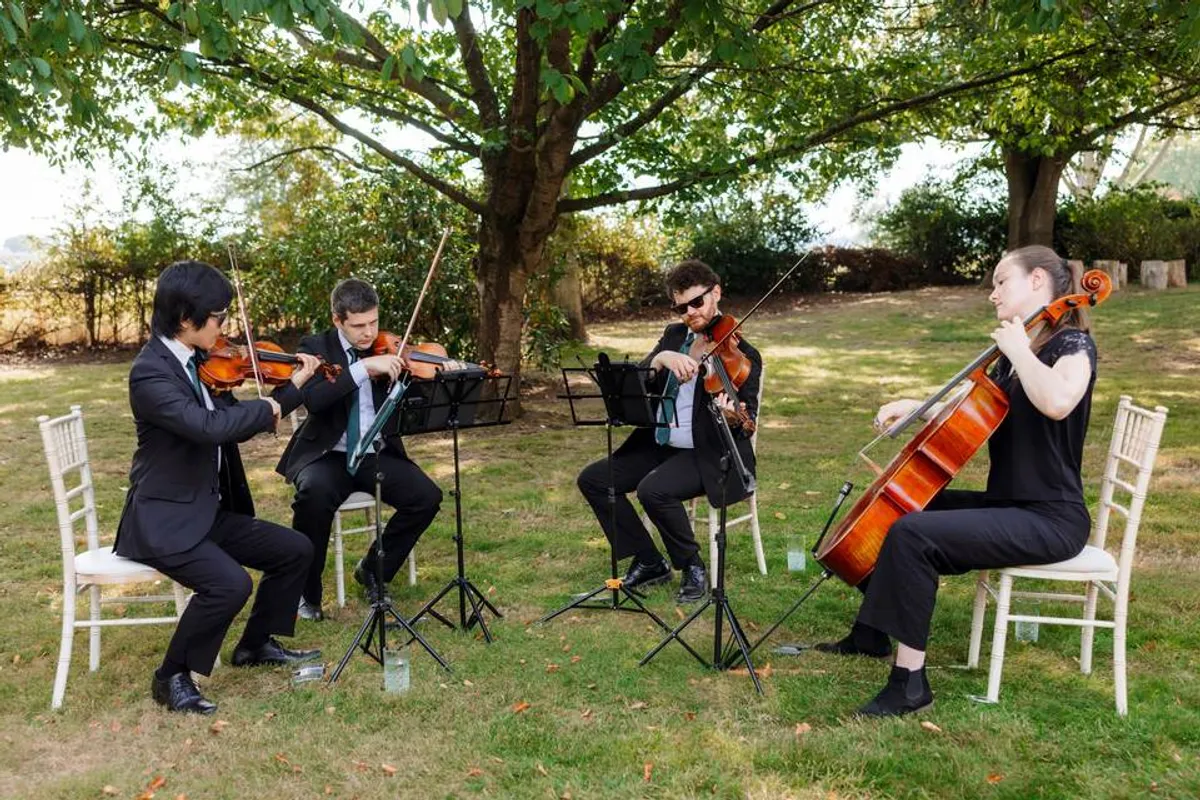 Lumos String Quartet photo 6